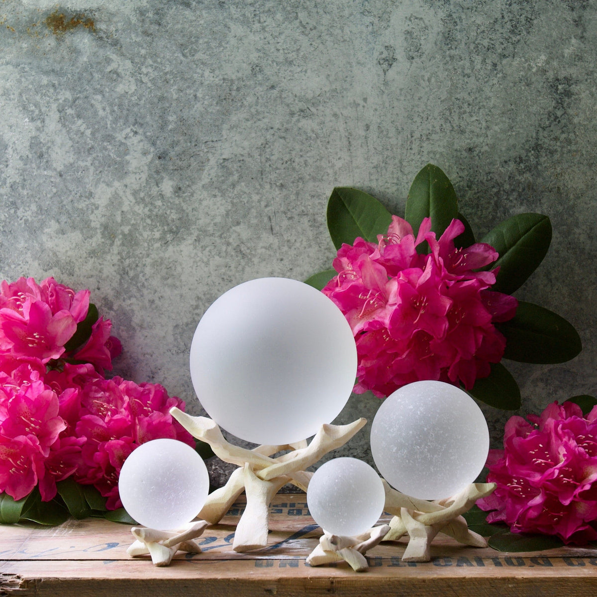 Driftwood Orb Stand: Hand Carved Wooden Display (2-10 inch)