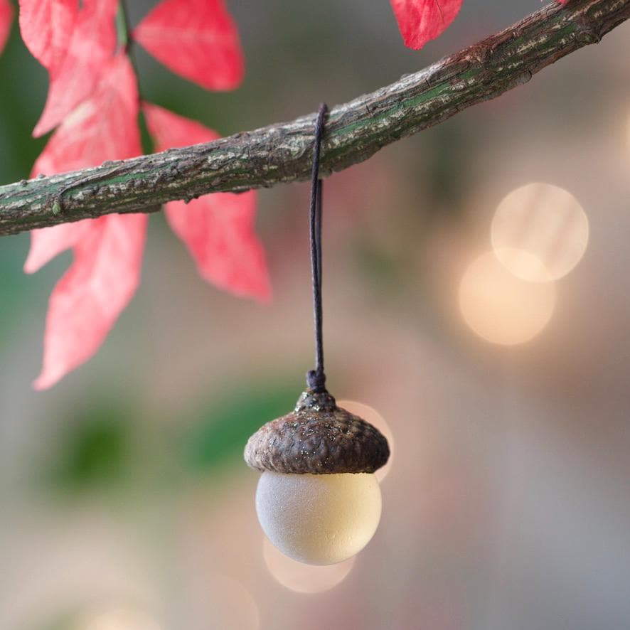 Glass Acorns - GLITTER Top