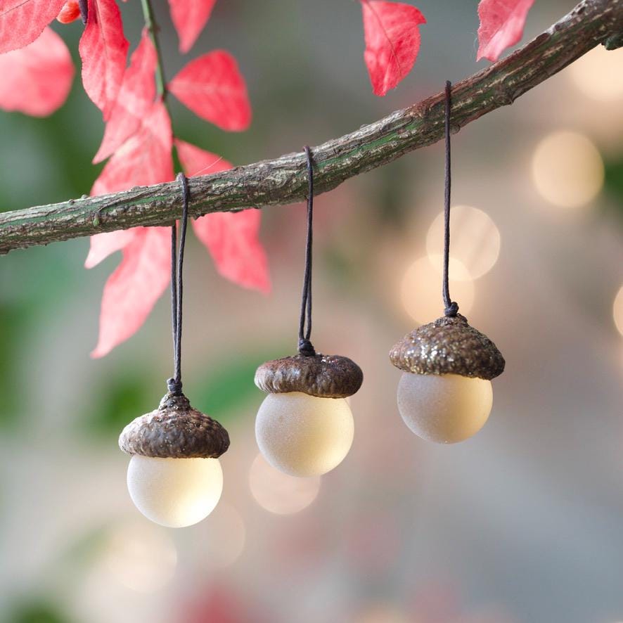 Glass Acorns - GLITTER Top