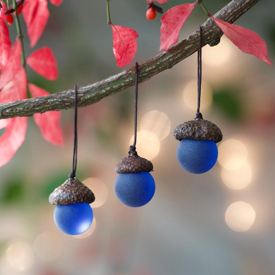 Glass Acorns - GLITTER Top