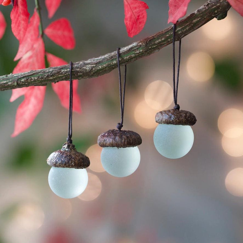 Glass Acorns - GLITTER Top