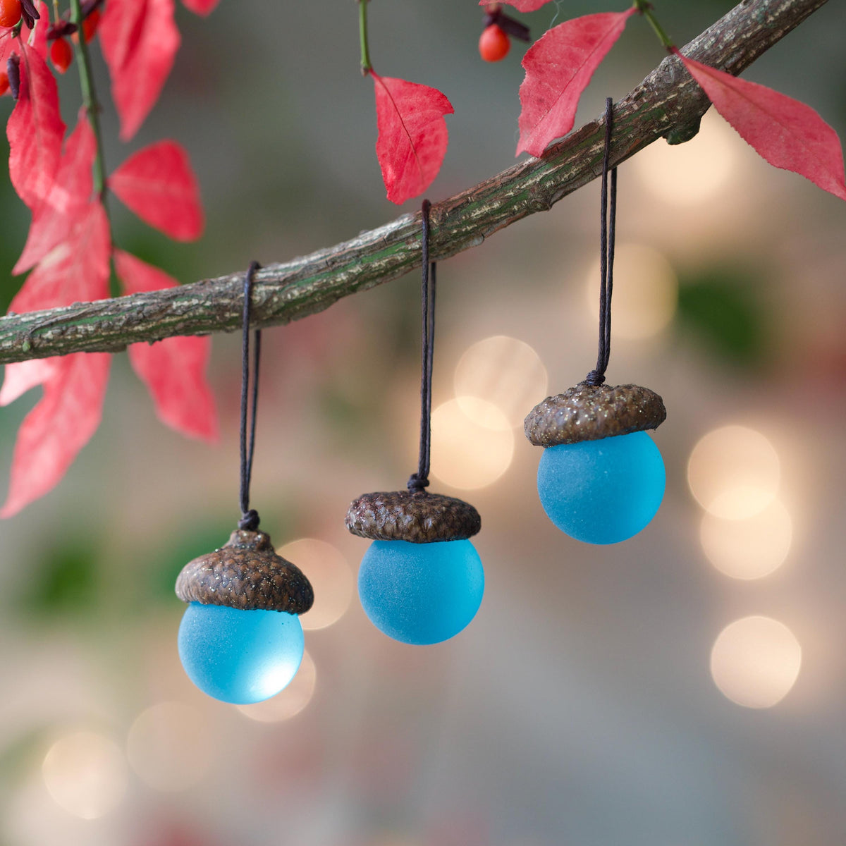 Glass Acorns - GLITTER Top